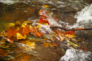 Onde d'automne